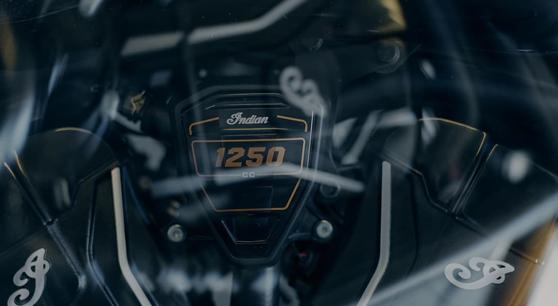 101 ЗНАЧКИ, ШЕВ И СЛИКИ